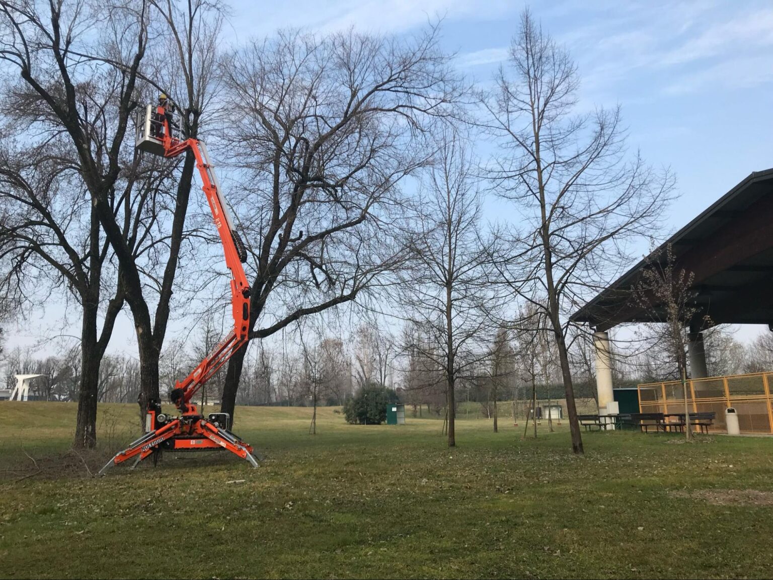 Noleggio piattaforme aeree per potatura: guida alla scelta